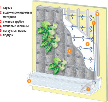 составляющая фитостены