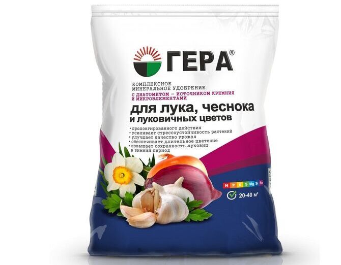 Фото геры для лука